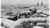 2015 • 1941-1945 : au coeur de la guerre du Pacifique