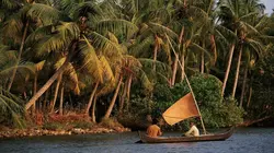 A la découverte de l'Inde sauvage