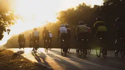 A Year with the Team