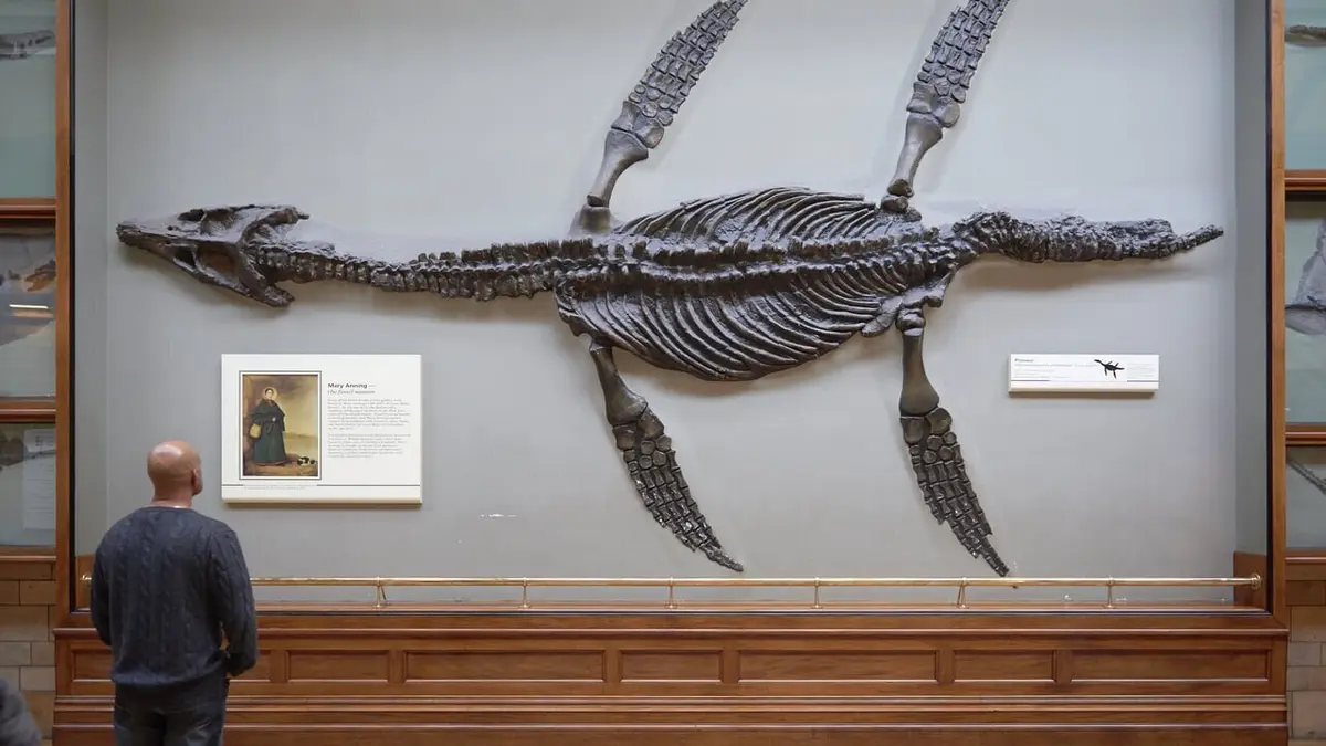 Afrique du Sud, paradis océanique