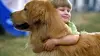 2003 • Air Bud star des plages / Air Bud Superstar / Air Bud 5