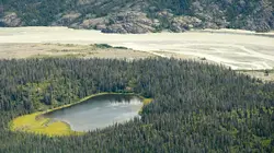 Alaska : La ruée vers l'or