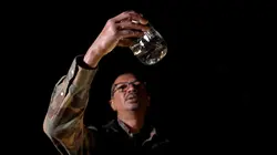 Alcool de contrebande Disparition