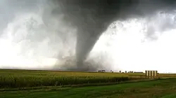 Visuel de Alerte : tornades