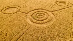 Alien Theory Ovnis : les points de contacts