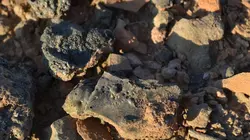 Alien Theory : les preuves ultimes