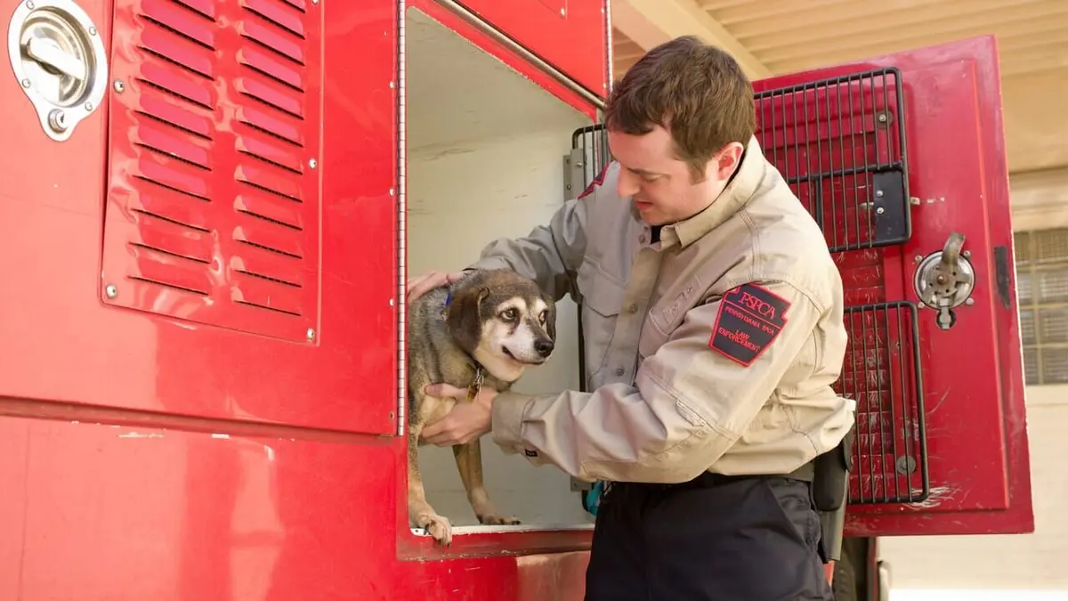 Animal Cops Bonnie et Clyde en streaming