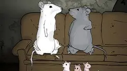 Animals S01E01 Rats en streaming