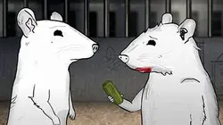 Animals S02E08 Chats partie 2 en streaming