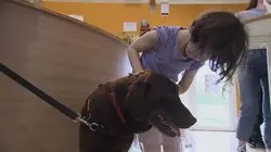 Animaux à adopter : nouvelle famille pour une nouvelle vie S01E03