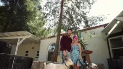 Animaux VIP Aire de jeu pour chèvres naines