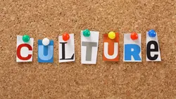 Archives (Boucle de nuit)