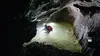 L'appel des grottes : Dans les entrailles du Hölloch