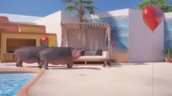 Athleticus S04E19 Snorkelling