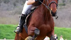 Au galop ! Remise des prix