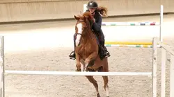 Au galop ! Remise des prix