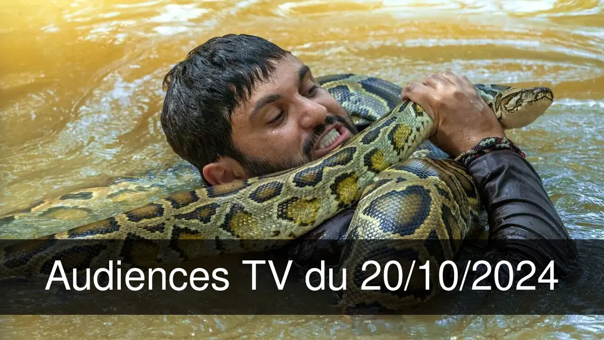 Audiences TV en prime time du Dimanche 20 octobre 2024