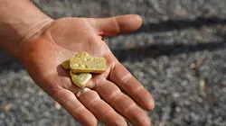 Australie, la ruée vers l'or Braquage à l'australienne