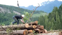 Ax Men : danger en forêt S05E10 1er bilan