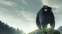 Backcountry en streaming