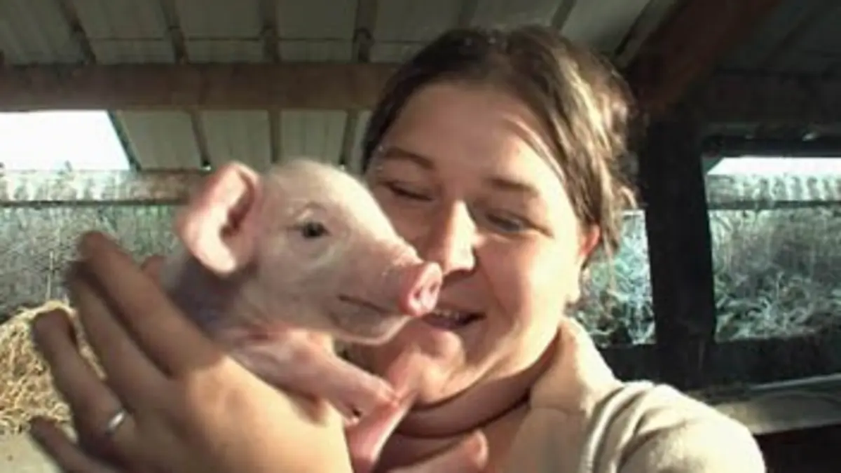 Casting Bêtes à concours