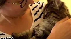 Bienvenue au monde Bébés chats, les 100 premiers jours de leur vie : les histoires extraordinaires entre bébés chats et humains