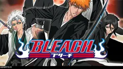 Bleach E81