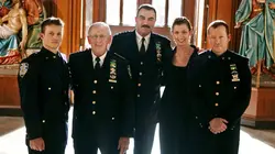 Blue Bloods S09E21 Double jeu