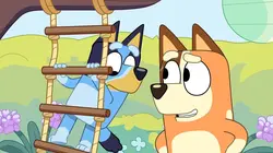 Bluey S03E02 La course d'obstacles en streaming