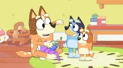 Bluey S01E19 La pince
