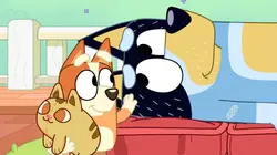 Bluey Le ballon yoga