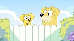 Bluey S01E19 La pince