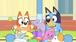 Bluey S01E19 La pince