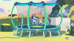 Bluey S01E33 Le trampoline