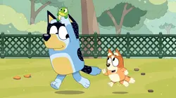 Bluey S02E28 La balançoire