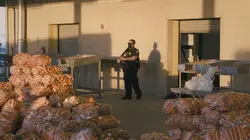 Borderforce USA : the Bridges Deuxième tentative