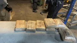 Borderforce USA : the Bridges Secret fatal