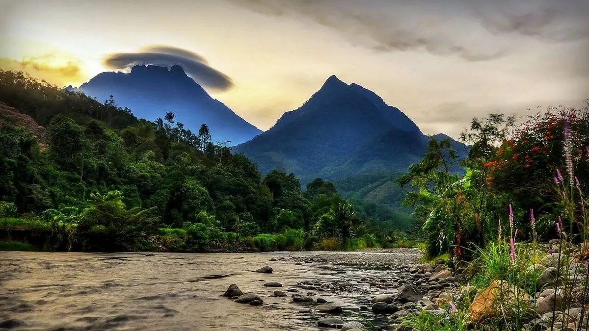 Casting Bornéo : l'Eden sauvage