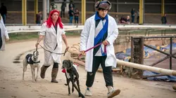 Brassic S04E02 Une vie de chien en streaming