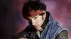 2024 • Bruce Springsteen, le chanteur qui murmurait à l'oreille de l'Amérique