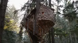 Cabanes perchées Juché dans une ruche en streaming