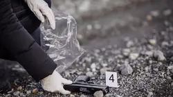 Caïn S05E06 Révision