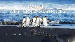 Casting Carnet des Terres Australes