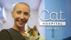 Cat Hospital