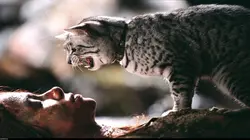 Audiences TV : Catwoman