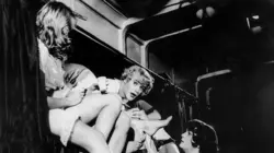 Certains l'aiment chaud