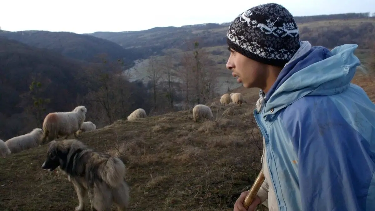 Casting Ceux qui restent