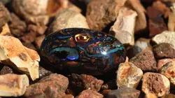 Chercheurs d'opale S05E01 Désastres en cascade