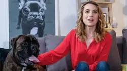 Chiens : mode d'emploi !