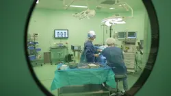 Chirurgie esthétique : nouveau corps pour une nouvelle vie Cyntia, Pascale, Mathis et Gabriela
